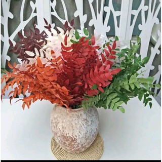 Cụm lá xương cá 5 nhánh