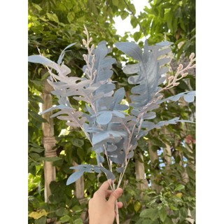 Cụm lá xương cá 5 nhánh