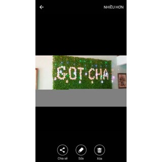 Thảm cỏ tai chuột nhân tạo