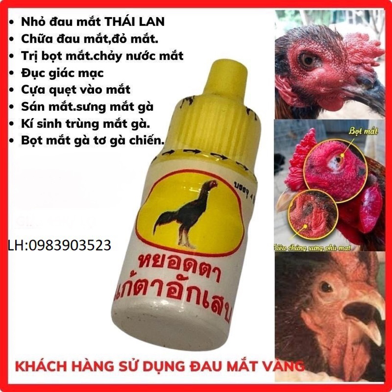 Nhỏ mắt vàng, đau mắt, bọt mắt cho gà đá- thái lan