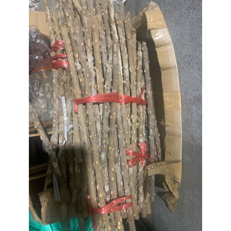 Cầu gạo cho chim chào mào