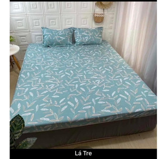 Bộ Ga Gối Poly + 2 vỏ gối nằm