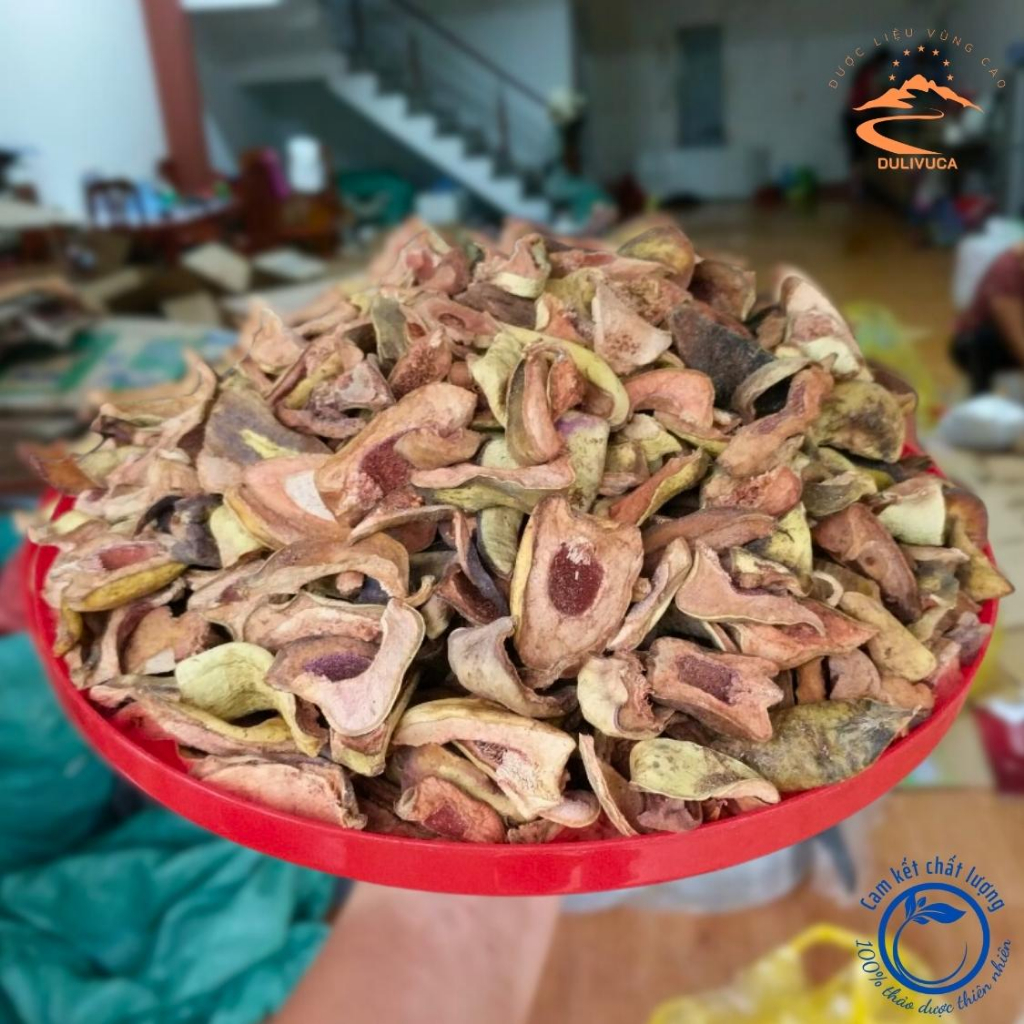 Quả trâu cổ khô thu hái rừng, phơi khô từ quả trâu cổ tươi già hỗ trợ tắc kia sữa, bổ thận tráng dương, khoẻ gân cốt