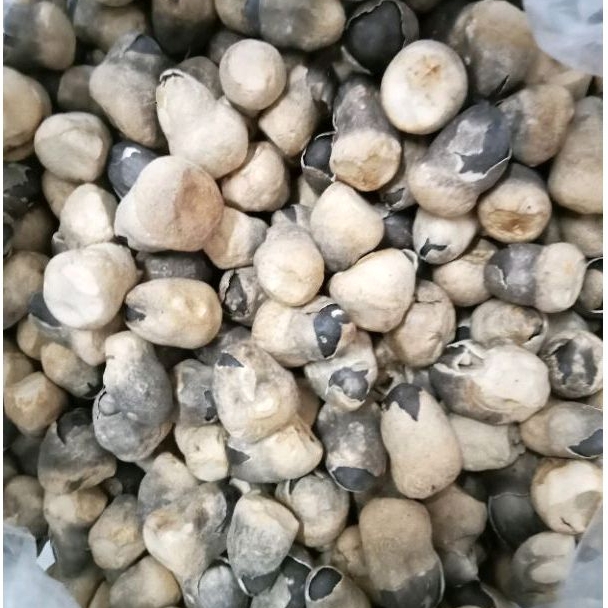 Nấm Rơm Sấy Thăng Hoa Búp Lớn 100g