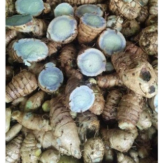 [FreeShip] Tinh Bột Nghệ Đen Nguyên Chất (Tây Bắc 99)
