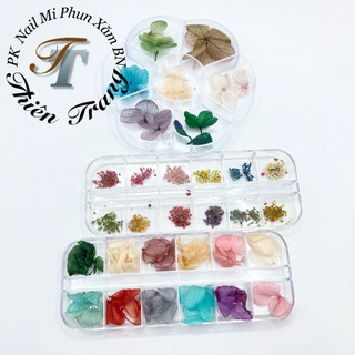 Set hoa khô trang trí móng tay nail trang điểm