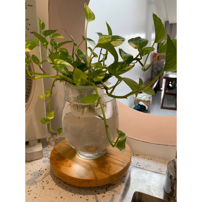 Giá kê chậu cây để bàn, gỗ tự nhiên, mặt tròn từ  10, 15, 20cm