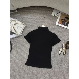 Áo thun zip cổ leo 3P basic nhiều màu