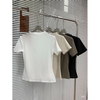 Áo thun zip cổ leo 3P basic nhiều màu