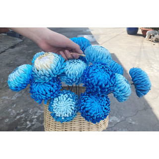 hoa cúc mẫu đơn bằng giấy Mỹ thuật thủ công