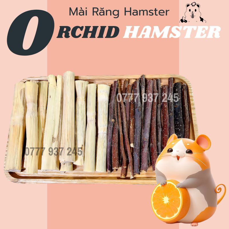 Bánh mài răng và cành táo mài Răng Hamster ,Sóc, Nhím.. v.. v