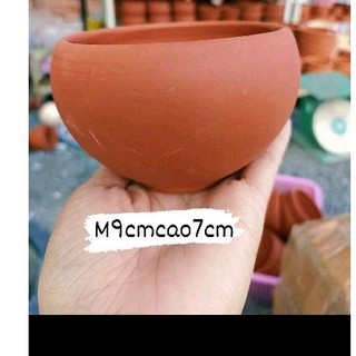 Chậu đất nung tô