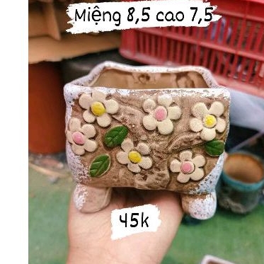 Chậu vuông hoa văn