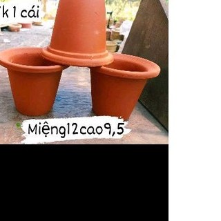Chậu đất nung ly cao