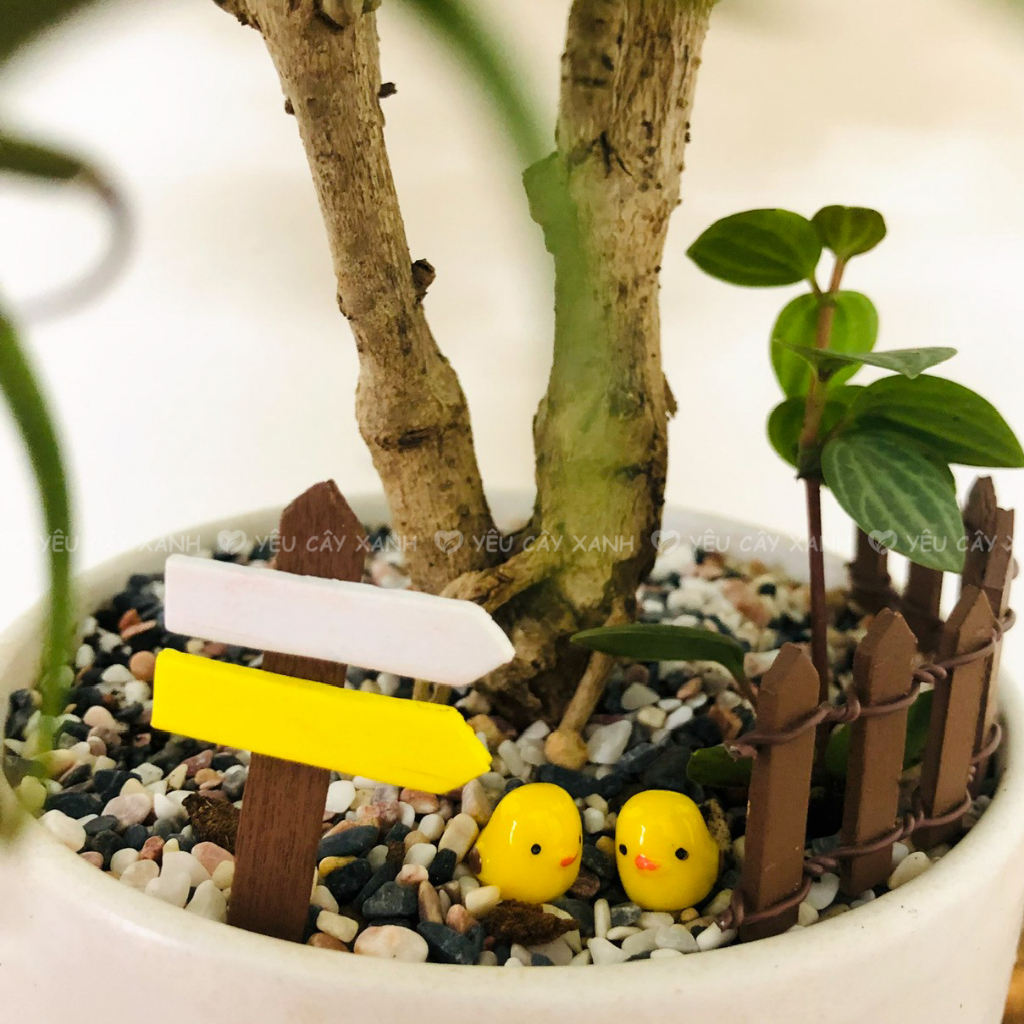 Phụ Kiện Gà Con Trang Trí Mô Hình, Tiểu Cảnh Terrarium, Đồ handmade