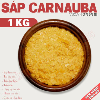 Sáp carnauba - nguyên liệu làm mỹ phẩm, son môi