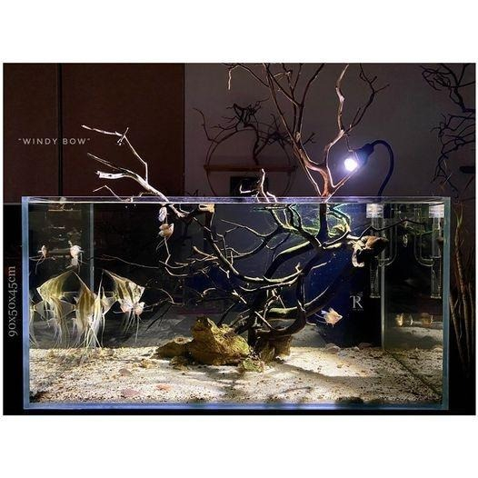 Lọc thùng cao cấp TRU-114300 chính hãng