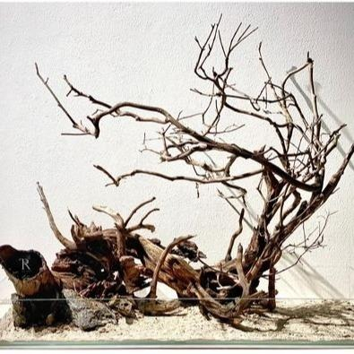 Lọc thùng cao cấp TRU-114300 chính hãng