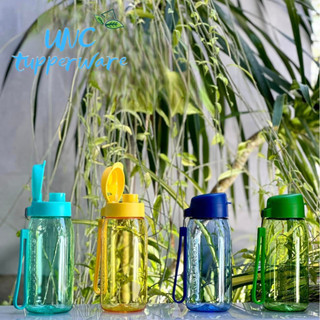 Bình nước Tupperware Lohas Flask 550ml