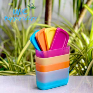 Bộ hộp bảo quản thực phẩm Tupperware Mini Rectangular 250ML (4)