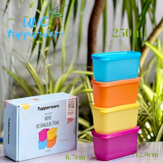 Bộ hộp bảo quản thực phẩm Tupperware Mini Rectangular 250ML (4)