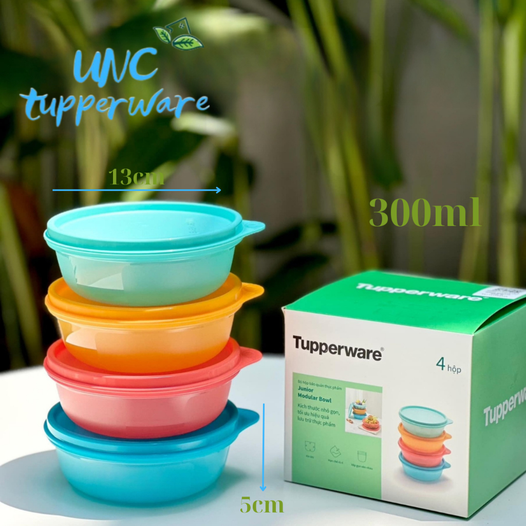 Bộ hộp bảo quản thực phẩm Tupperware Junior Modular Bowl 300ML (4)