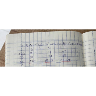 áo sát nách nữ phối ren