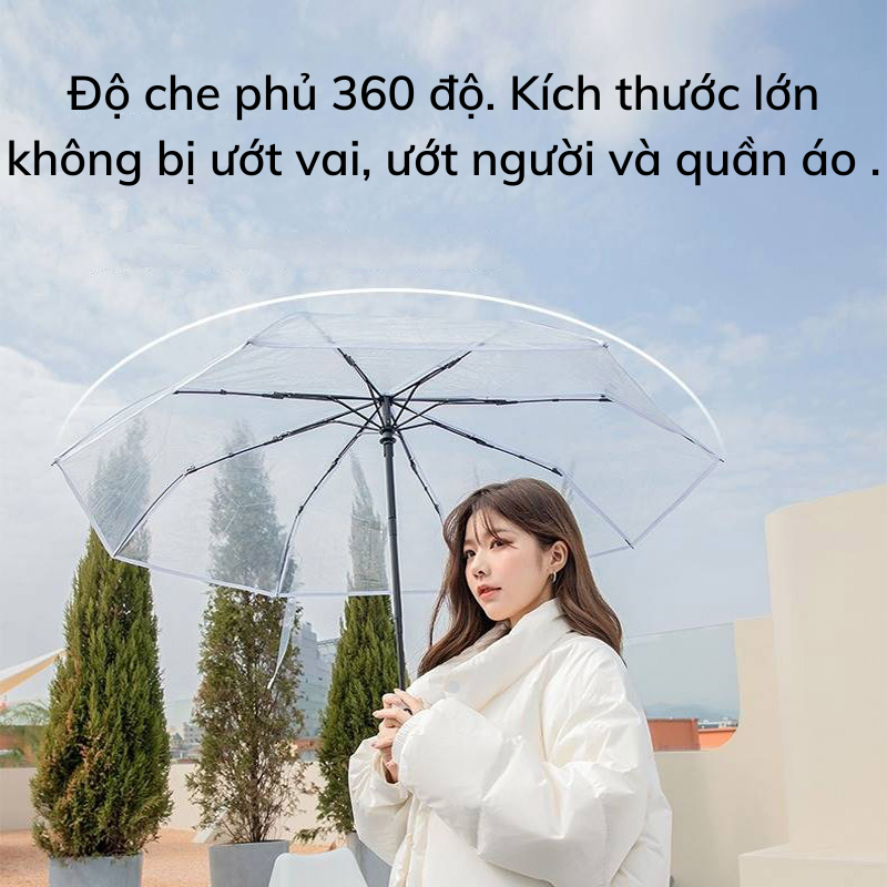 Dù Che Mưa NAMIKO Trong Suốt Tự Động Đóng Mở Chống Thấm