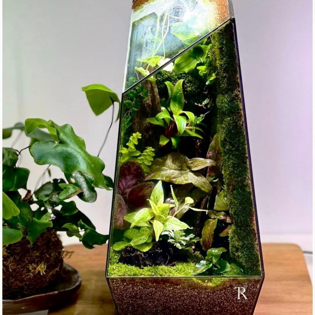 Vải giữ ẩm terrarium/paludarium