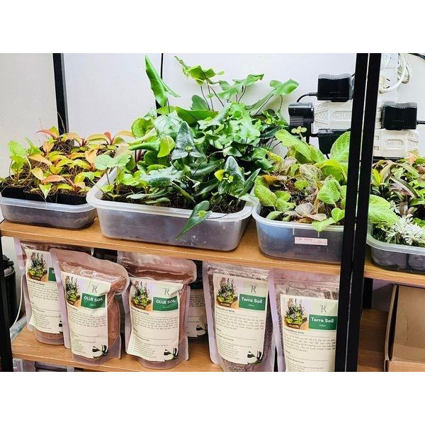 Vải giữ ẩm terrarium/paludarium