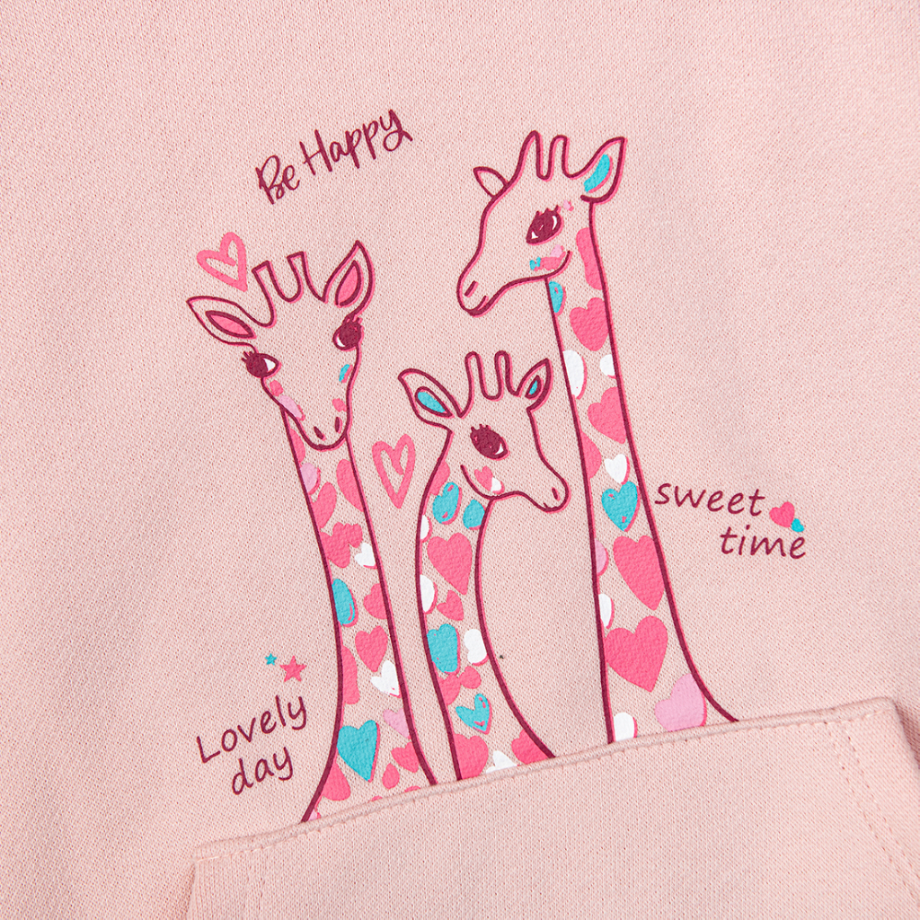 Áo Hoodie DEROSA KIDS áo mũ dài tay liệu cotton cho bé từ 2 đến 6 tuổi AWKDD-1061