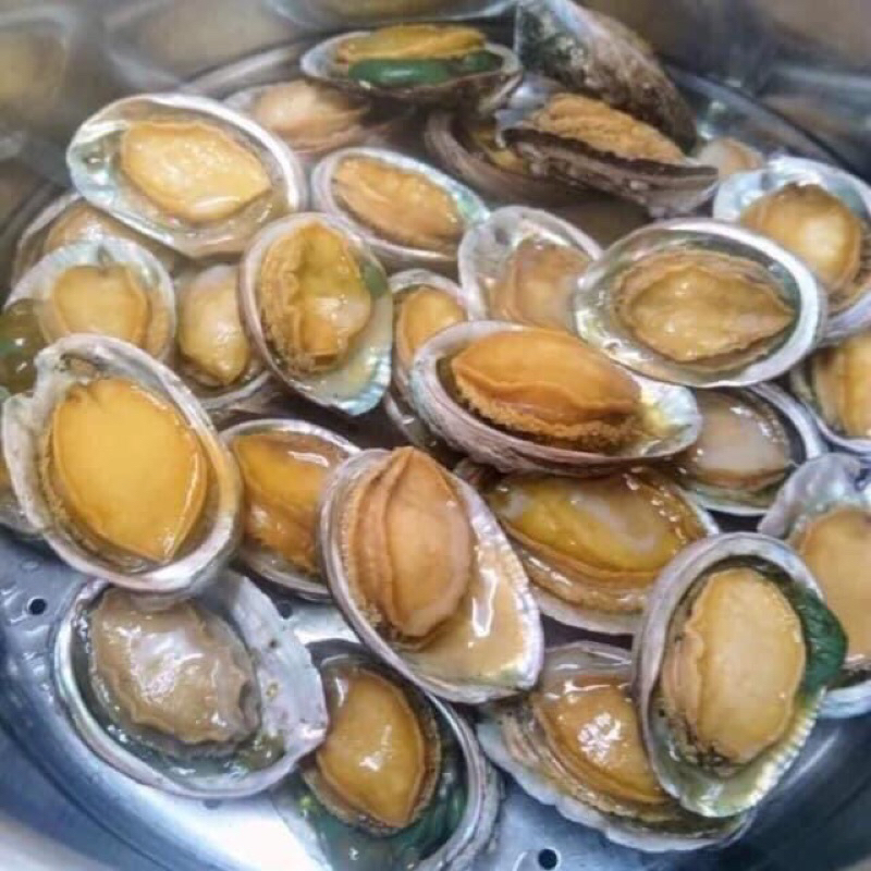 BÀO NGƯ 500GR ( CHỈ GIAO Hoả Tốc )