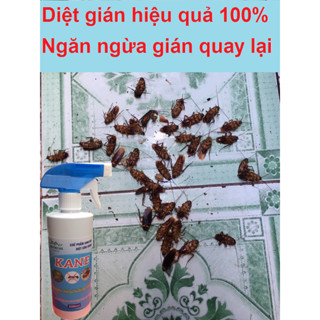 Thuốc diệt gián kiến sinh học Nhật Bản hiệu quả cao, diệt trứng gián ngăn ngừa gián sinh sản, diệt gián tận gốc an toàn