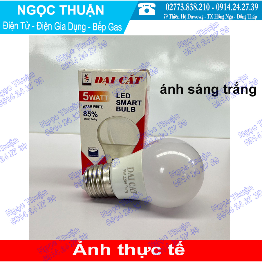 Bóng đèn LED 1W Rạng Đông