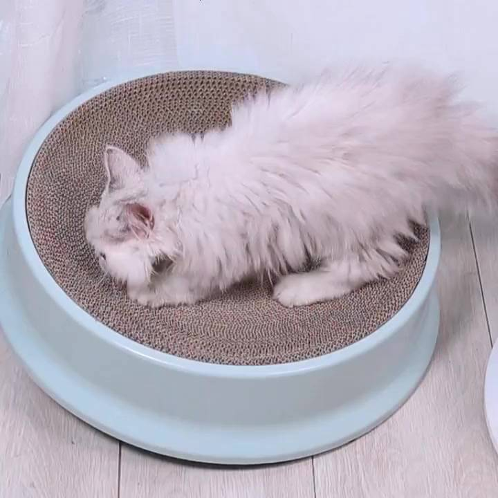 Combo 3 Lõi Cào Móng Tròn Bằng Carton Dùng Thay Thế Cho Bàn Cào Kích Thước 40 Cm