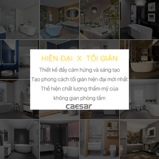 Sen Thuyền Inox - SP132