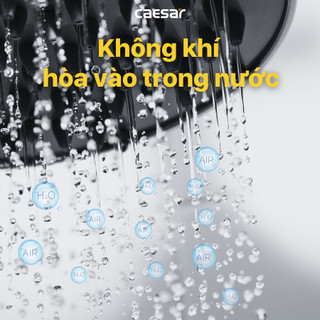 Sen Thuyền Inox - SP132