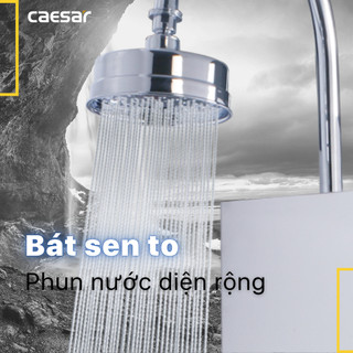 Sen Thuyền Inox - SP132