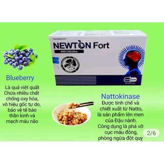 Newtonfort bổ Não