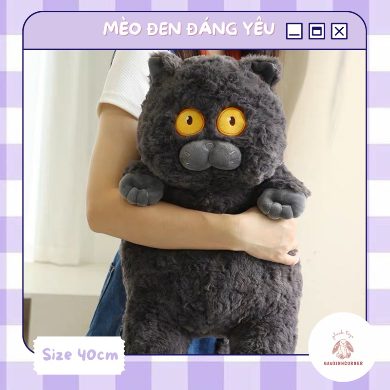 Gấu bông mèo bông đen mềm mại dễ thương