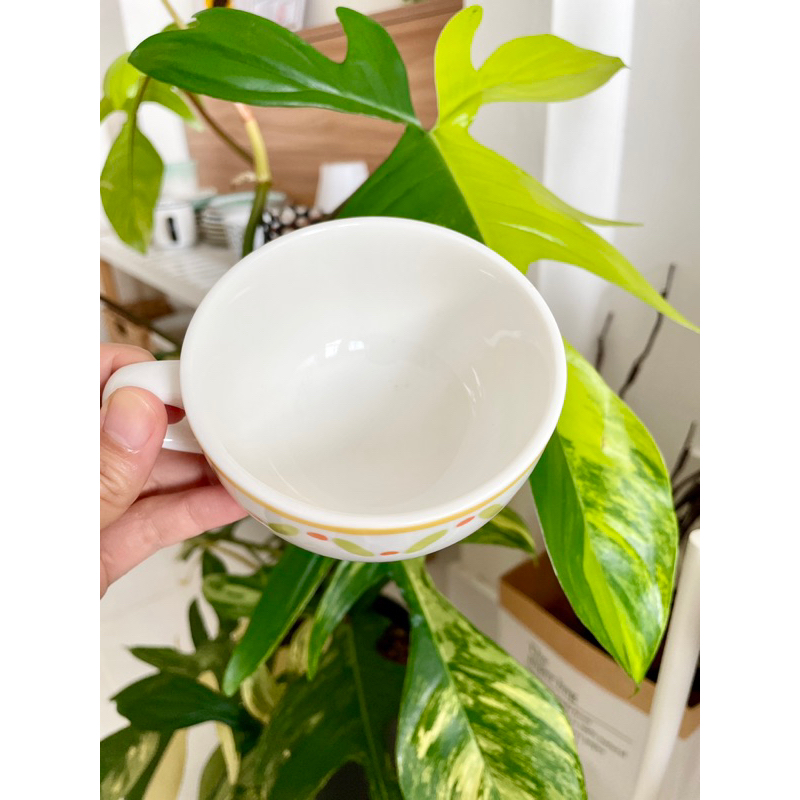 Cưng Ha Home -  - Ly sứ uống trà viền hoa