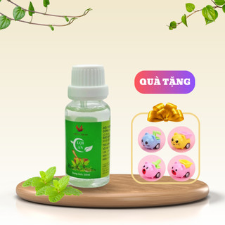 Tinh dầu lợi an chính hãng giá sỉ