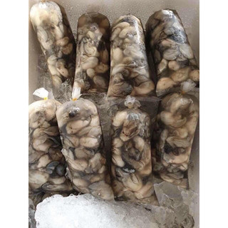 Hào sữa tươi gói 500gr (chỉ giao hoả tốc)