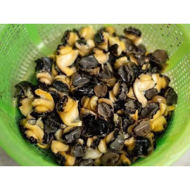 RUỘT ỐC BƯU 500Gr