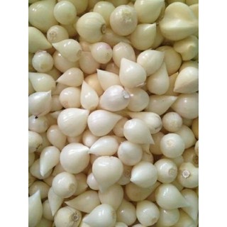 200g tỏi cô đơn Lý Sơn ( giá dùng thử )