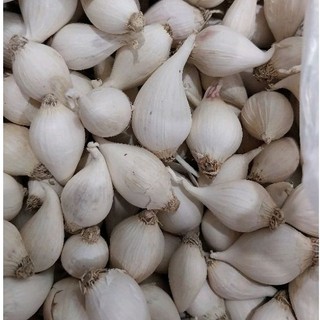 200g tỏi cô đơn lý sơn