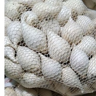 200g tỏi cô đơn Lý Sơn ( giá dùng thử )