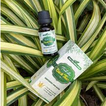 Tinh Dầu Bách Thảo Giảm Ho, Sổ Mũi, Khò Khè Cho Bé