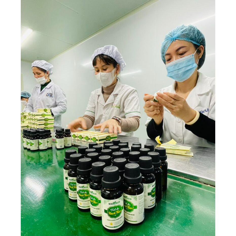 Tinh Dầu Bách Thảo Giảm Ho, Sổ Mũi, Khò Khè Cho Bé