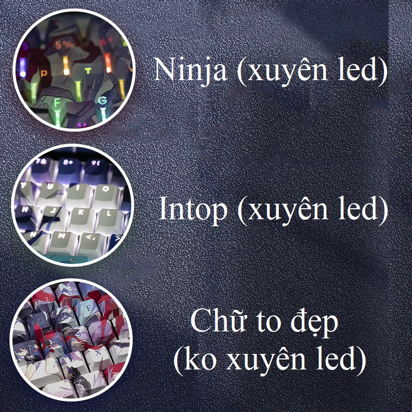 Keycap Honkai Impact 3 Elysia thick PBT ninja xuyên led in dyesub 5 mặt 135 phím anime layout keycaps Genshin Impact
